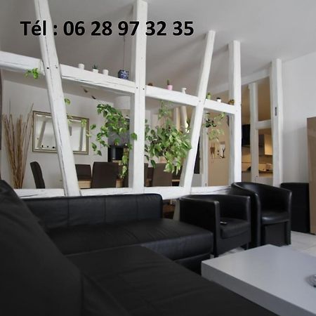 Gite Hyper Centre 10 Pers Кольмар Экстерьер фото