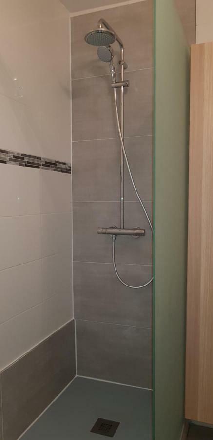 Gite Hyper Centre 10 Pers Кольмар Экстерьер фото
